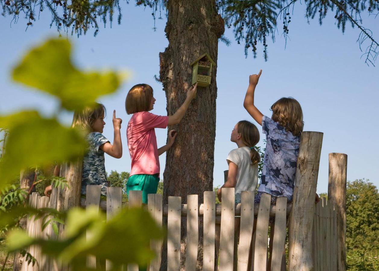 Camping Het Wieskamp Henxel Extérieur photo